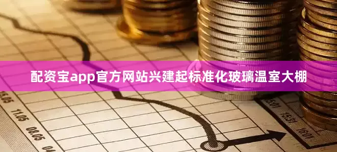 配资宝app官方网站兴建起标准化玻璃温室大棚