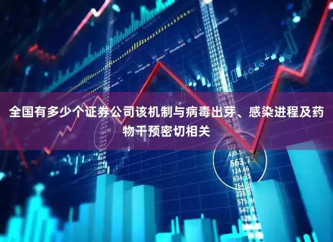 全国有多少个证券公司该机制与病毒出芽、感染进程及药物干预密切相关