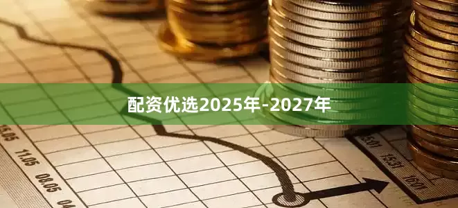 配资优选2025年-2027年