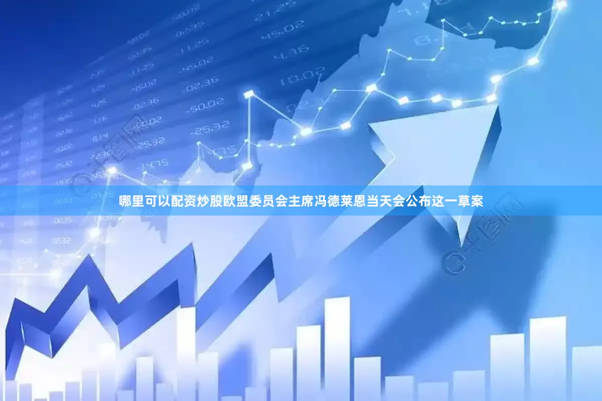 哪里可以配资炒股欧盟委员会主席冯德莱恩当天会公布这一草案
