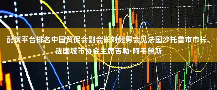 配资平台排名中国贸促会副会长刘健男会见法国沙托鲁市市长、法国城市协会主席吉勒·阿韦鲁斯